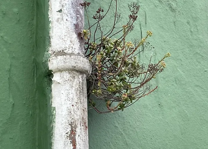 Apartamerica 471, Gartenwohnung, Pool, 150 M Zum Strand, Americas 公寓 阿德耶