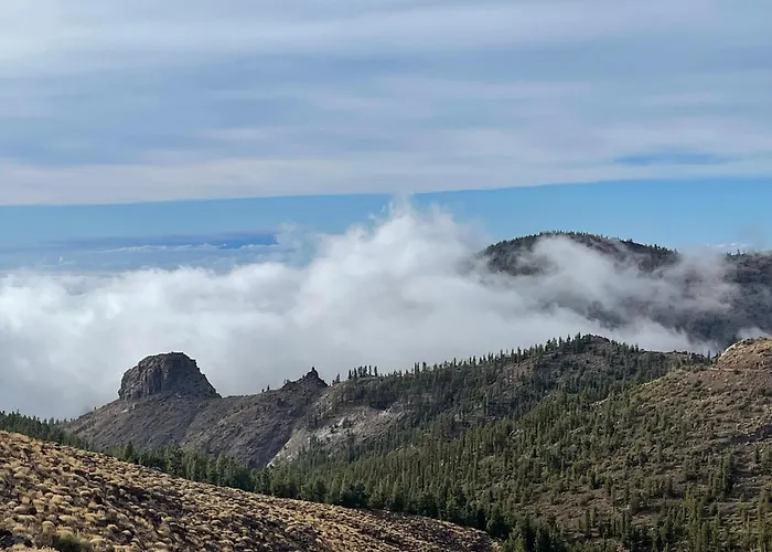 公寓 Apartamerica 471, Gartenwohnung, Pool, 150 M Zum Strand, Americas 阿德耶