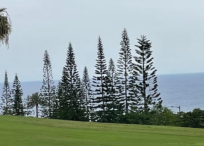 Apartamerica 471, Gartenwohnung, Pool, 150 M Zum Strand, Americas 阿德耶