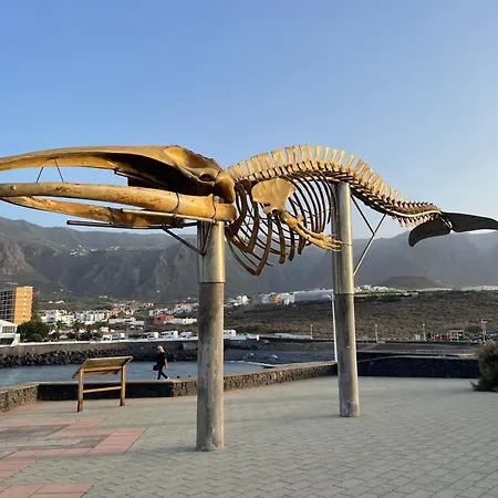 Apartamerica 471, Gartenwohnung, Pool, 150 M Zum Strand, Americas