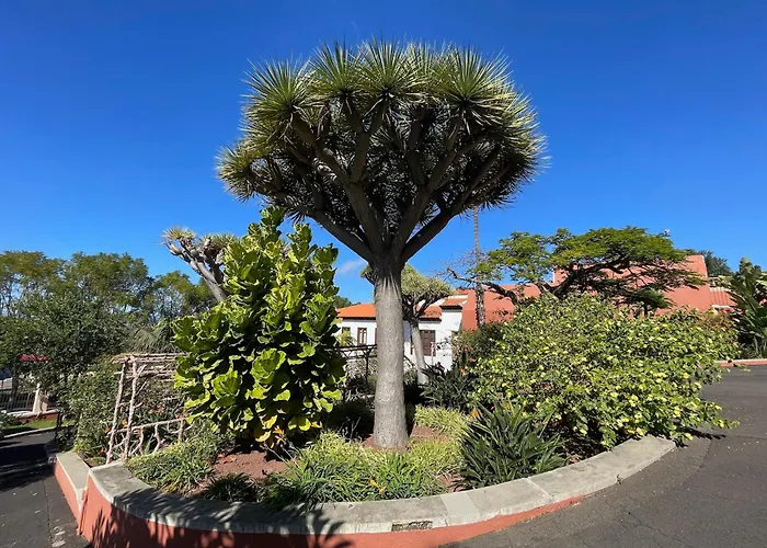 Apartamerica 471, Gartenwohnung, Pool, 150 M Zum Strand, Americas アパート *