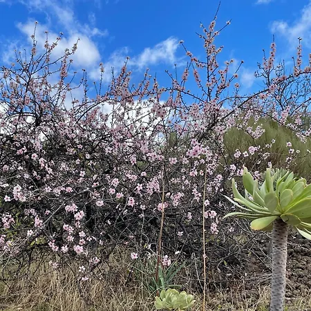 Apartamerica 471, Gartenwohnung, Pool, 150 M Zum Strand, Americas *