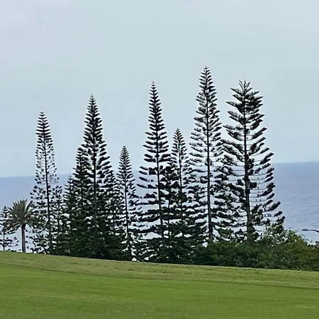 Apartamerica 471, Gartenwohnung, Pool, 150 M Zum Strand, Americas Costa Adeje