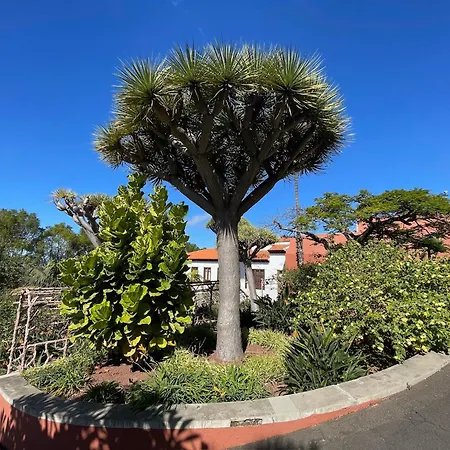 Apartamerica 471, Gartenwohnung, Pool, 150 M Zum Strand, Americas Apartamento *