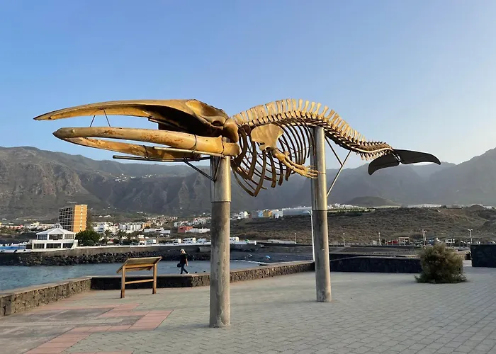 Apartamerica 471, Gartenwohnung, Pool, 150 M Zum Strand, Americas