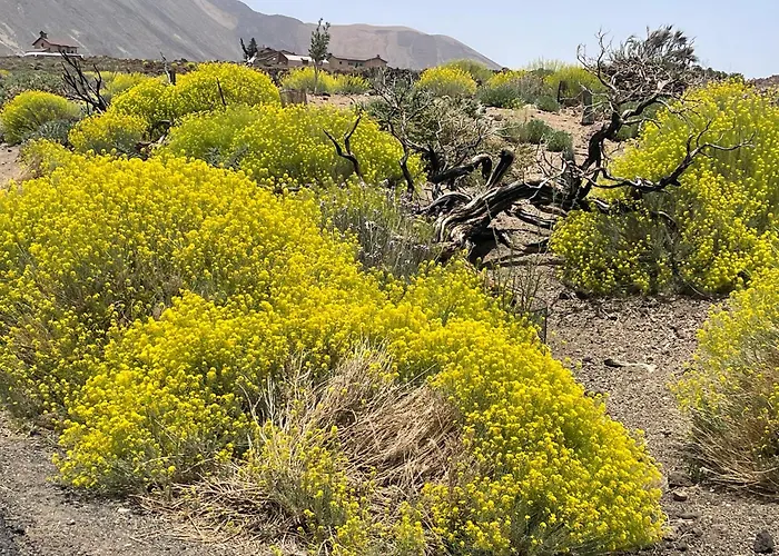 Apartamerica 471, Gartenwohnung, Pool, 150 M Zum Strand, Americas